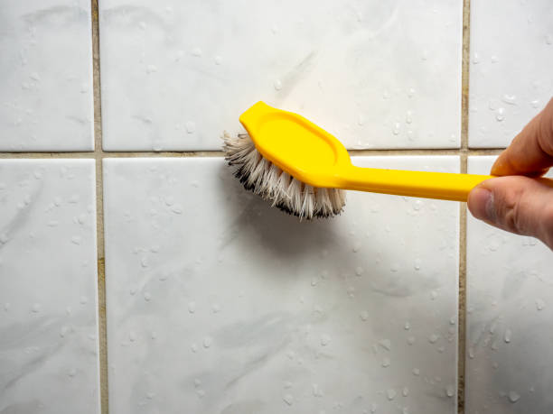 Best Mold Removal Near Me  in Coleman, TX