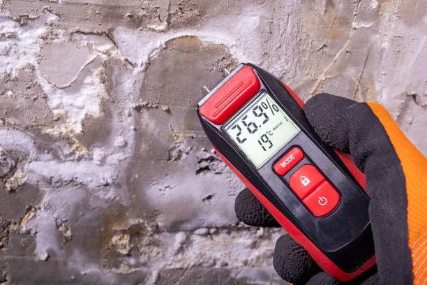 Best Local Mold Removal Service  in Coleman, TX