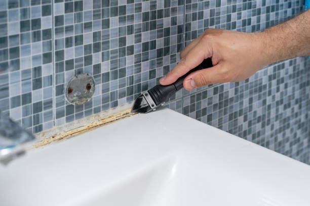 Best Professional Mold Removal  in Coleman, TX