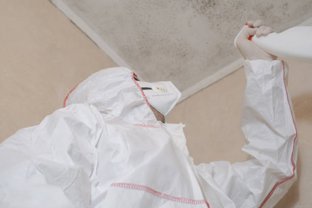 Best Mold Damage Repair  in Coleman, TX