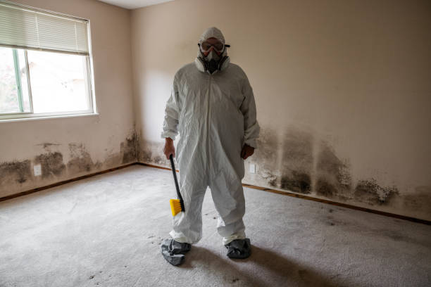 Best Affordable Mold Removal  in Coleman, TX