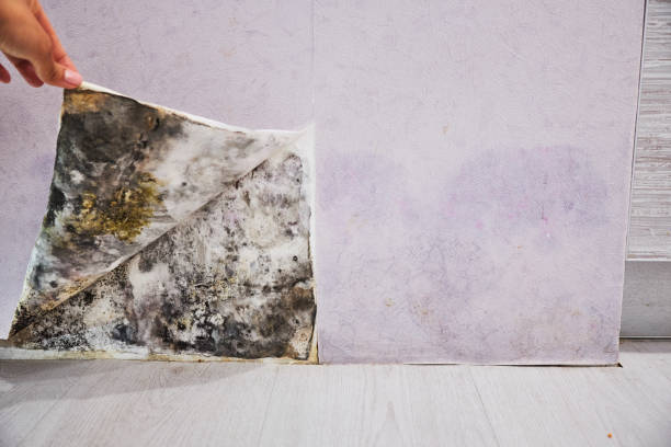 Water Damage Restoration in Coleman, TX